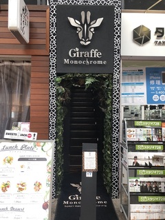 giraffe1.jpg