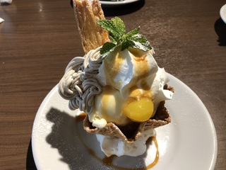 giraffe10.jpg