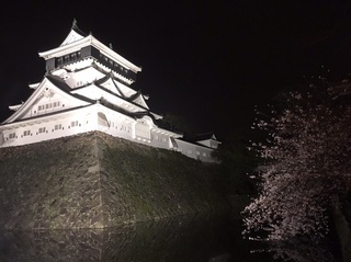 hanami1.jpg