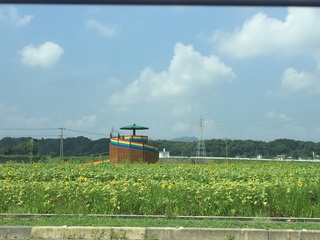 himawari2.jpg
