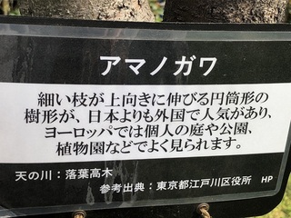katuyama3.jpg