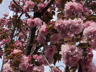 katuyama7.jpg