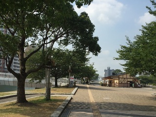 komeda1.jpg