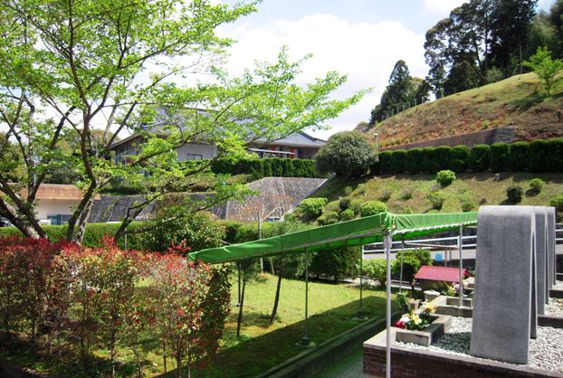 緑の里 オファー さくらペット霊園 ブログ